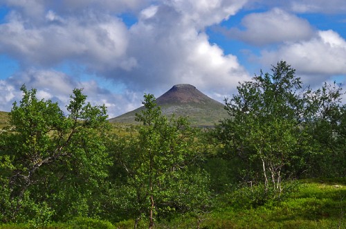 Städjan