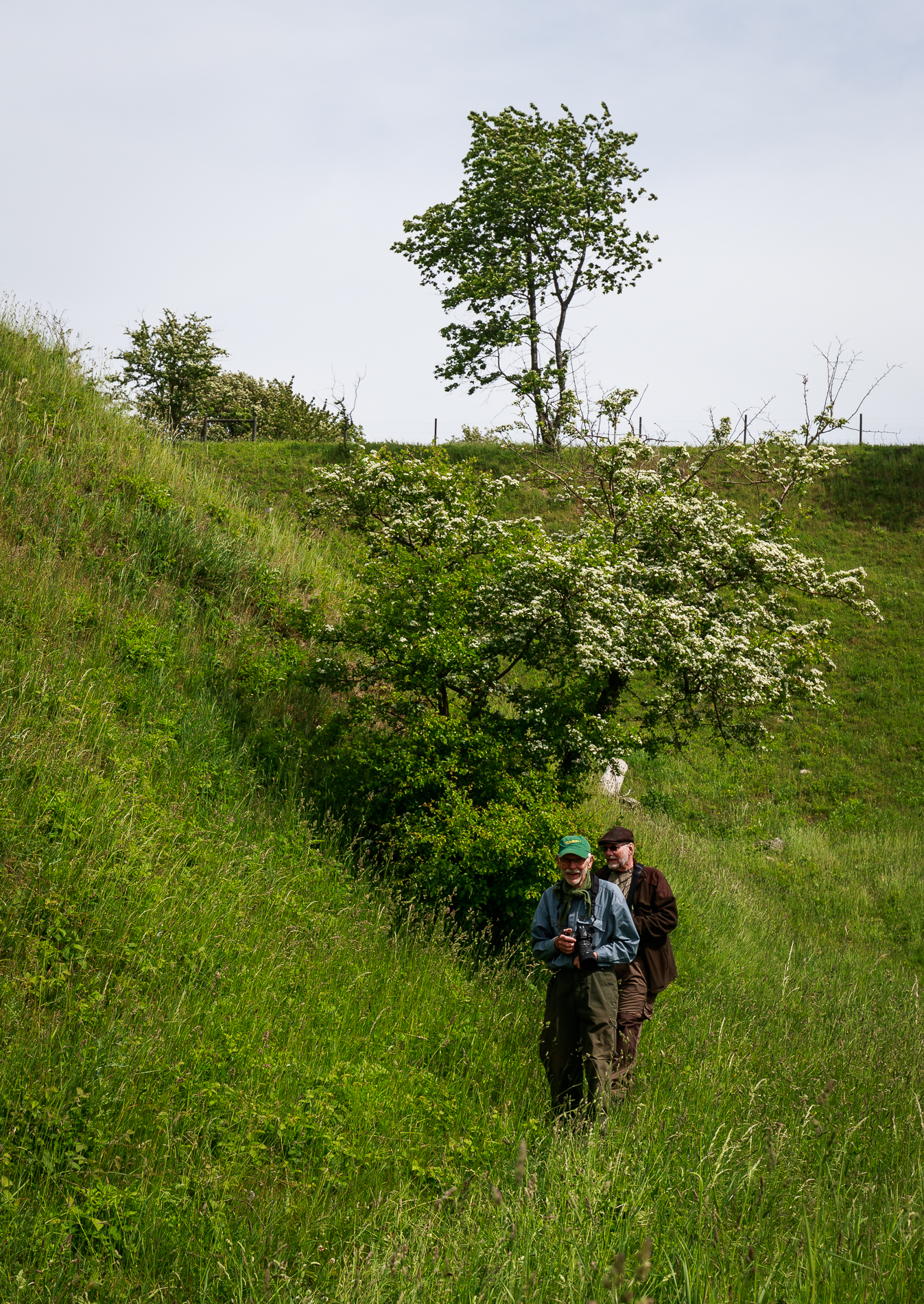 På fjärilsspaning Foto: Curt Leidig